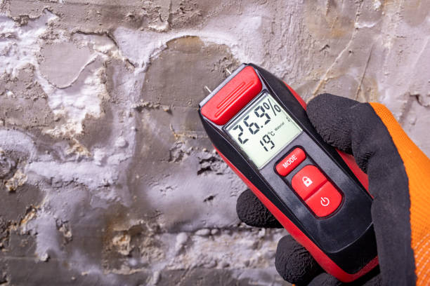Best Residential Mold Removal  in Sulphur Springs, TX