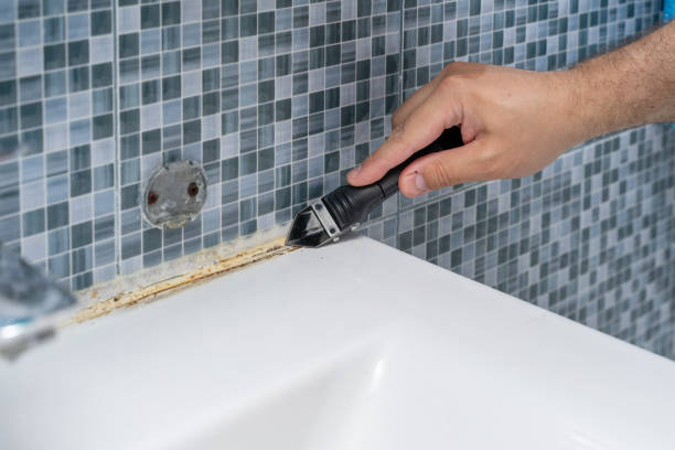 Professional Mold Removal in Sulphur Springs, TX
