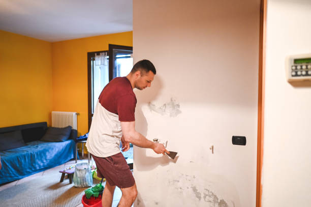 Best Mold Removal and Inspection  in Sulphur Springs, TX